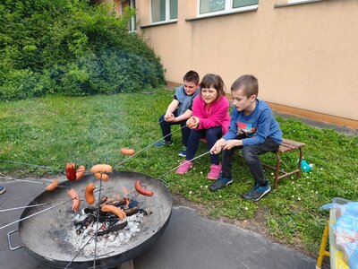 Obrázek 38013 