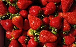 Titulní obrázek k příspěvku 1. - 5. června