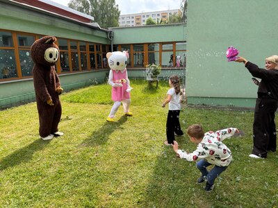 Obrázek 38261 