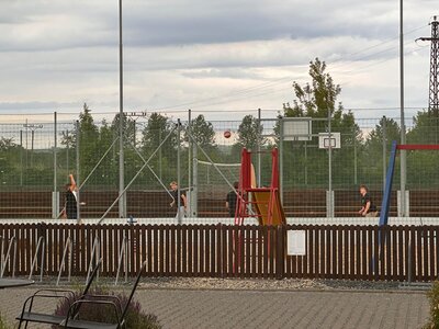 Obrázek 38441 