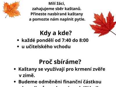 Obrázek 39564 