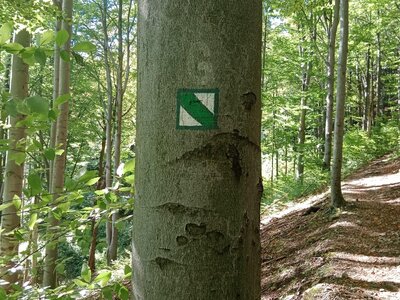 Obrázek 39607 