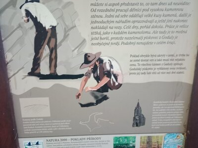 Obrázek 39615 
