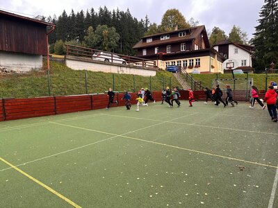 Obrázek 39743 
