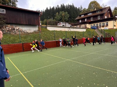Obrázek 39744 