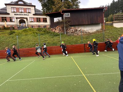 Obrázek 39745 