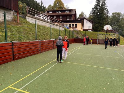 Obrázek 39806 