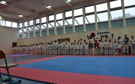 Titulní obrázek k příspěvku Mendel CUP 2013