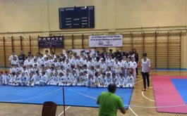 Titulní obrázek k příspěvku SHINDO CUP 2014