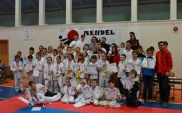 Titulní obrázek k příspěvku International Mendel Cup 2014