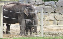 Titulní obrázek k příspěvku Družina v ZOO