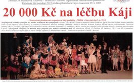 Titulní obrázek k příspěvku 20 000 Kč na léčbu Káji!