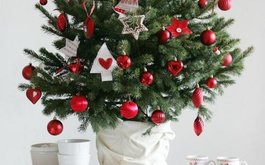 Titulní obrázek k příspěvku 15.prosince