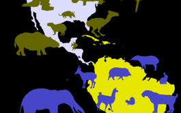 Titulní obrázek k příspěvku KRITÉRIA