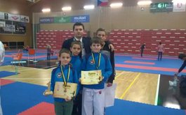 Titulní obrázek k příspěvku Lions Cup 2015