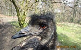 Titulní obrázek k příspěvku Družina v Zoo již po 13.