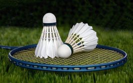 Titulní obrázek k příspěvku Badminton